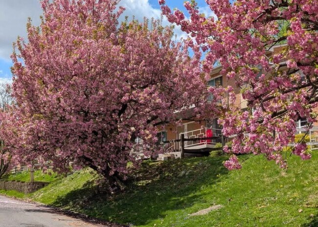 Foto del edificio - Nevin Park