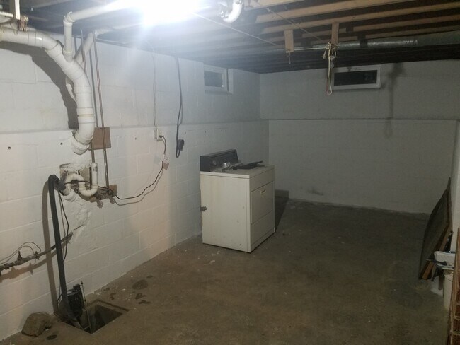 Basement/washer and dryer area - 200 Springhill