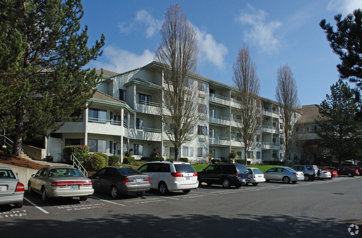 Primary Photo - Solista Roseburg
