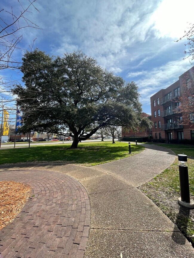 Building Photo - 443 Saint Pauls Blvd #4E