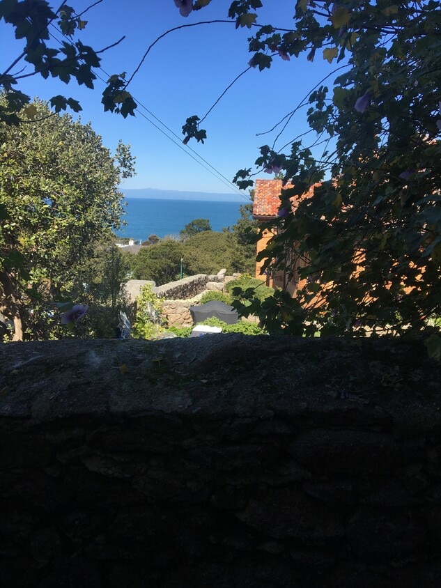 Side Yard - 211 6th St