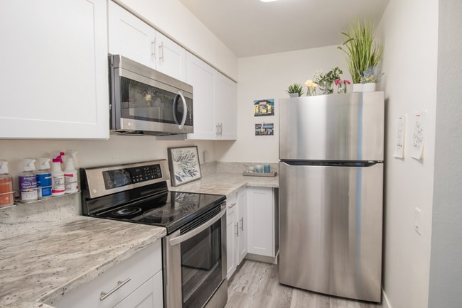 Building Photo - 1337 Caminito Gabaldon