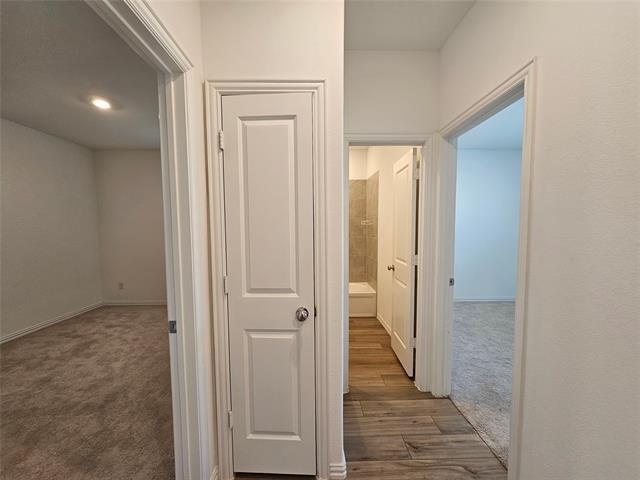 Building Photo - 1103 Sassafras Dr