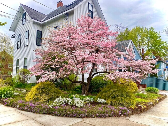 Foto del edificio - 209 Walnut St