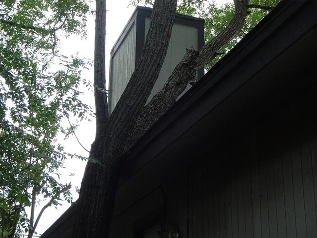 Building Photo - 617 Luther Dr