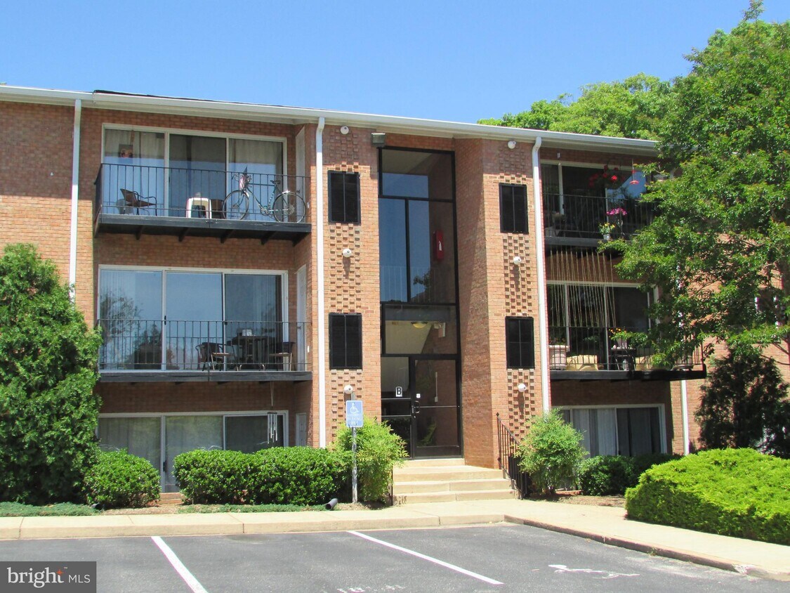 1805 William St, Fredericksburg, VA 22401 Apartment for Rent in