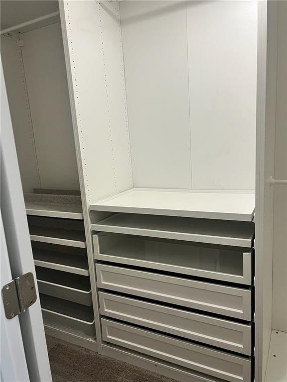 Foto del edificio - 7150 Fringe Flower Dr