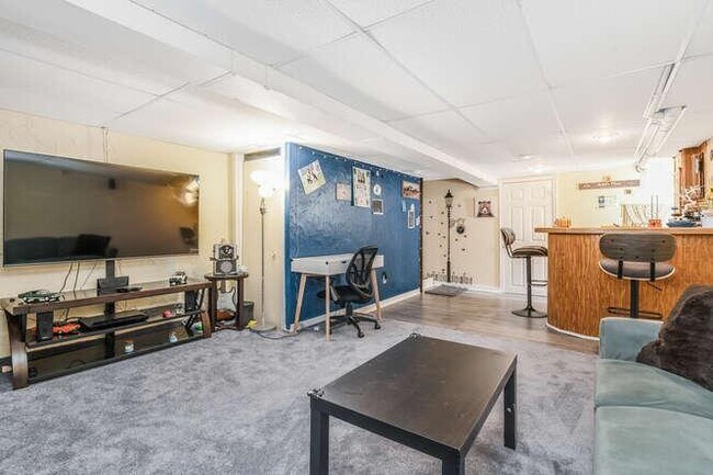 basement - 147 Locust Ct