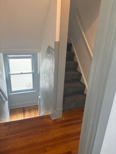Building Photo - 2887 Romana Pl
