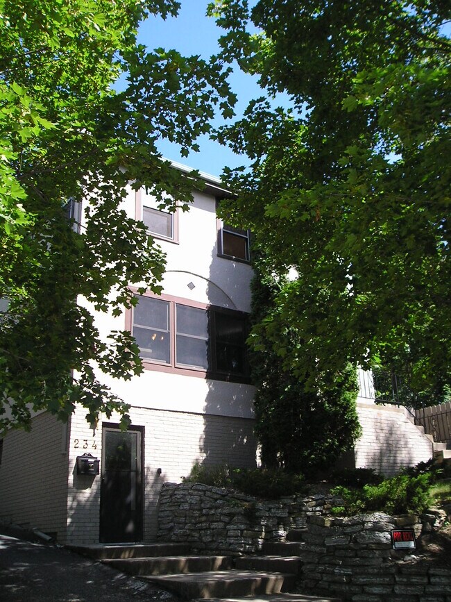 Own Front Entrance to Top Level - 234 Clermont St