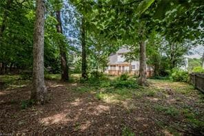 Backyard - 3333 Timberwolf Ave