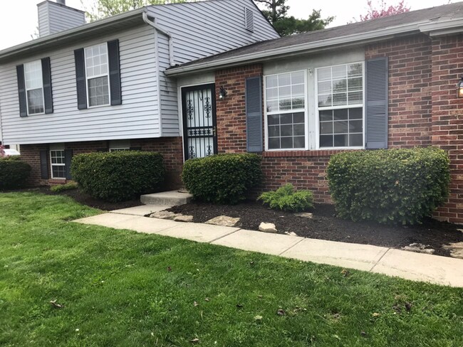 Building Photo - 4068 Meath Ct