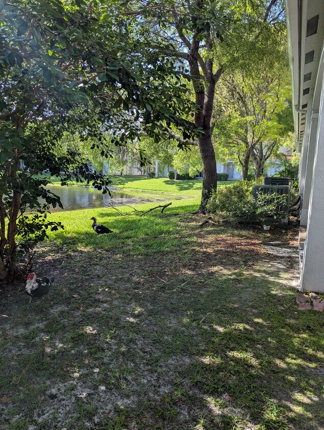 Foto principal - 2574 SW 82nd Ave