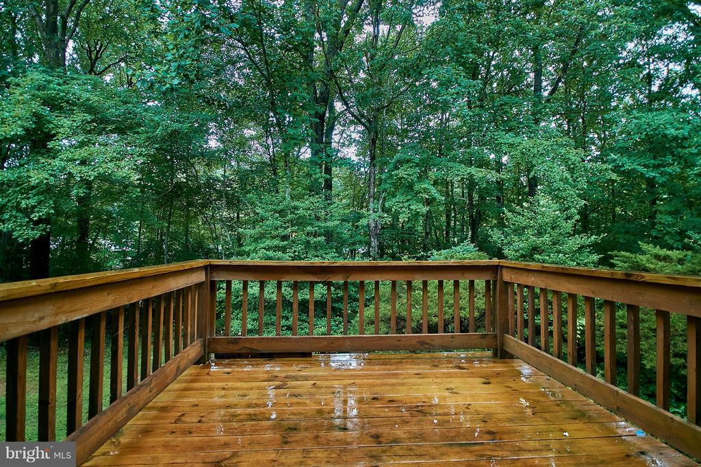 Foto principal - 2309 Glade Bank Way