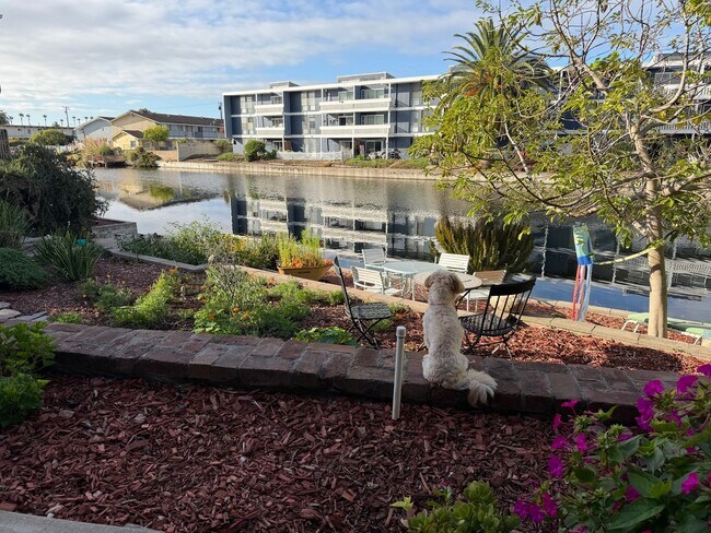 Foto del edificio - Spacious Apartments in the Desirable Bronze Coast Neighborhood