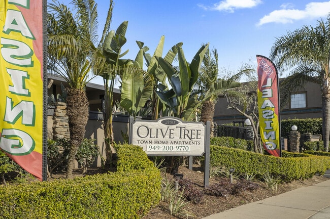 Building Photo - Olive Tree