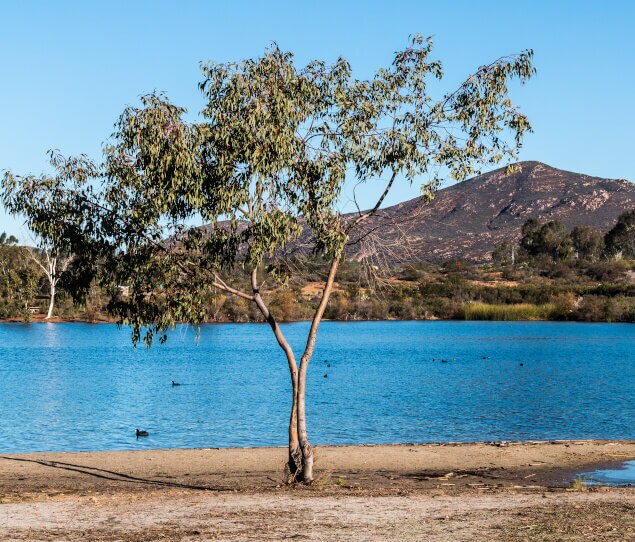 Cowles Mountain behind Lake Murray