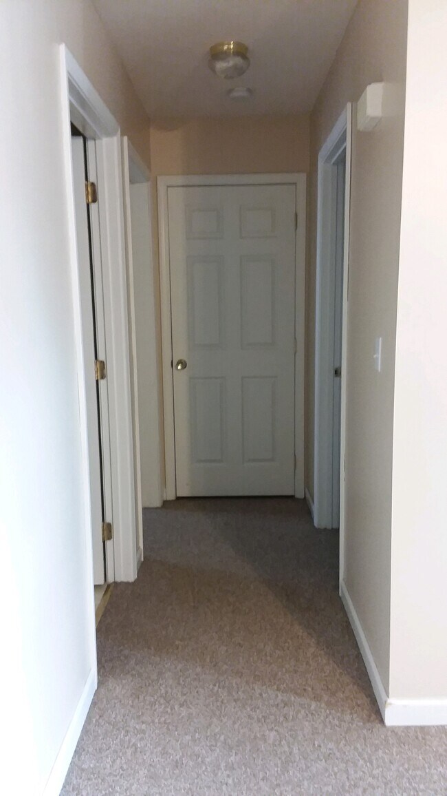 325 S Main St Unit 2, Harrisburg, IL 62946 Apartments in Harrisburg