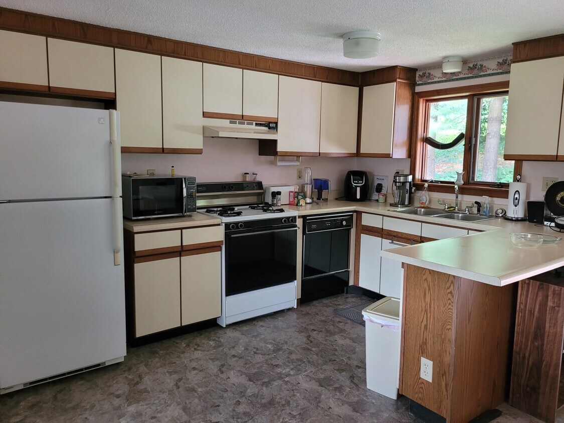 13 Dwight Ter, Chicopee, MA 01013 House Rental in Chicopee, MA