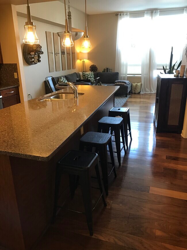 Huge slab granite bar - 8185 Lowry Blvd, Unit 101