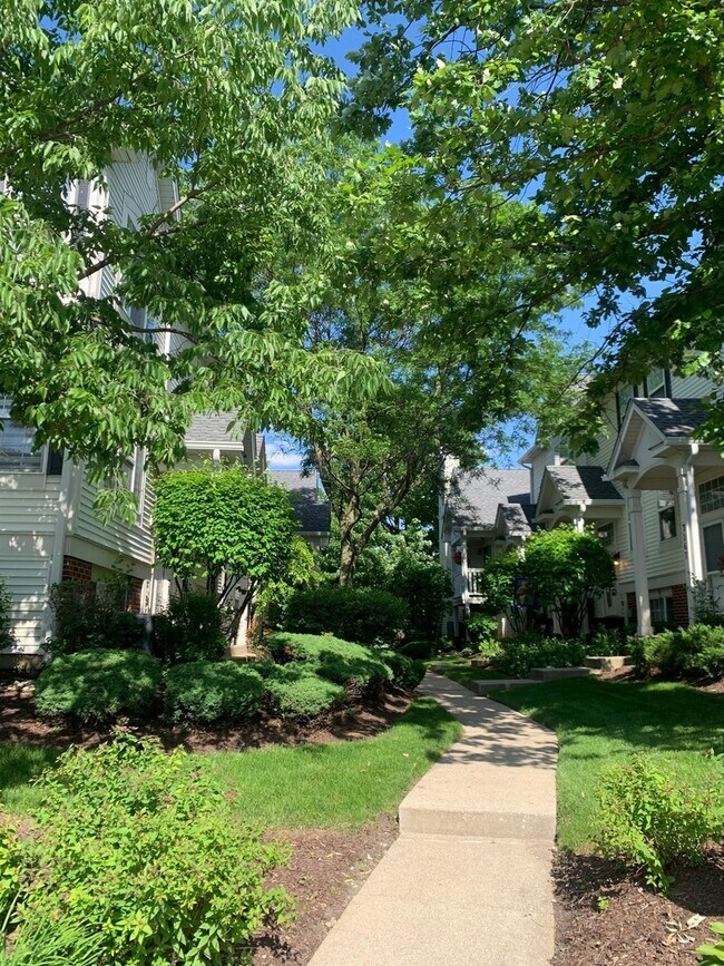 7257 Flagg Creek Dr, La Grange, IL 60525 Townhome Rentals in La