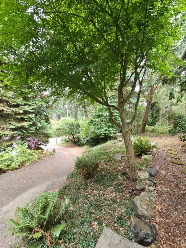Foto del edificio - 3224 73rd Ave Ct NW