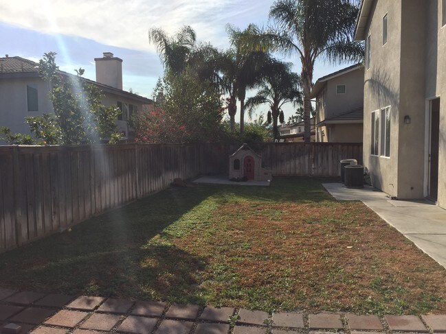 Back Yard - 6612 Cedar Creek Rd