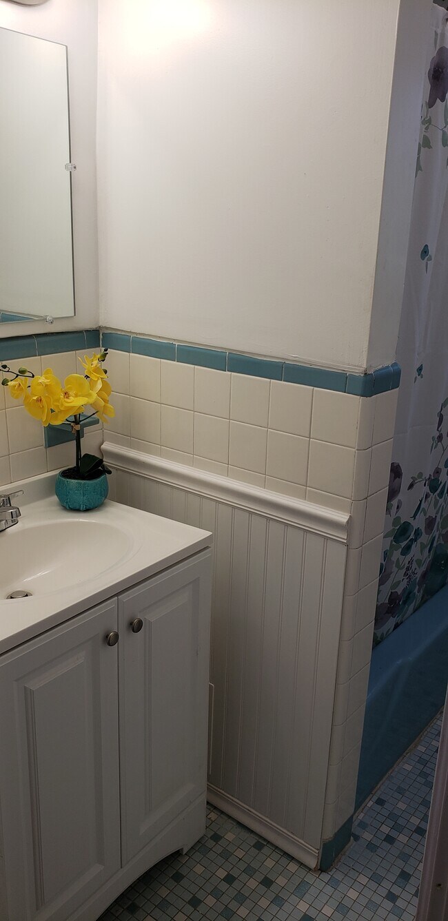 Newly renovated bathroom. - 1932 Magellan Ave