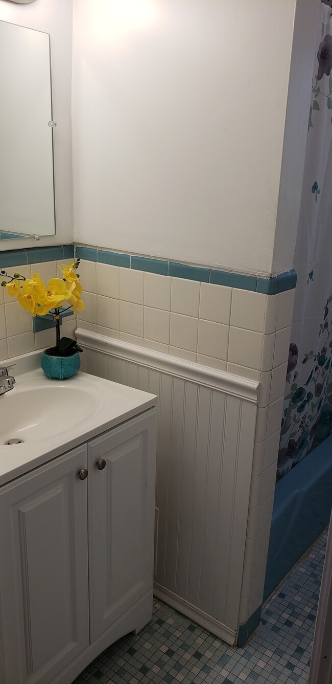 Newly renovated bathroom. - 1932 Magellan Ave