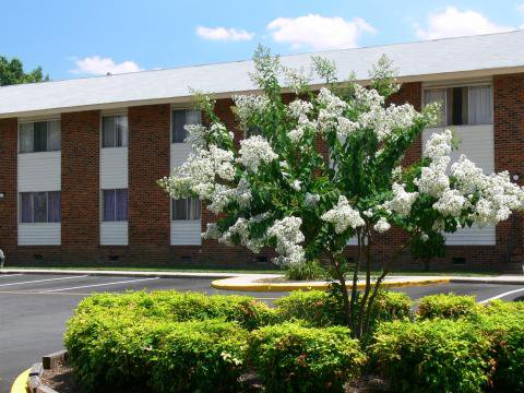 Foto del edificio - North Oak Apartments