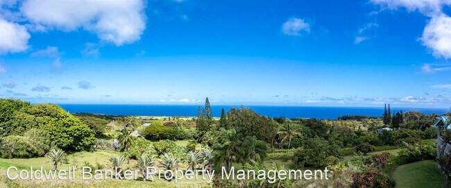 Foto del edificio - 3 br, 2.5 bath House - 4425 Opana Pl.