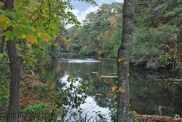 Lake - Chapel Lake Apartments