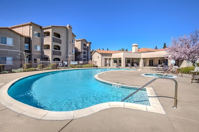 Swimming Pool and Hot Tub - 10001 Woodcreek Oaks Blvd