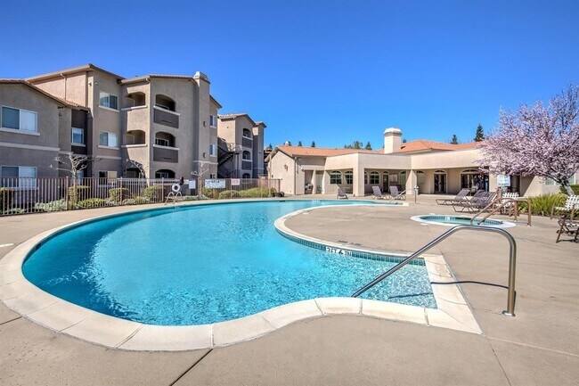 Swimming Pool and Hot Tub - 10001 Woodcreek Oaks