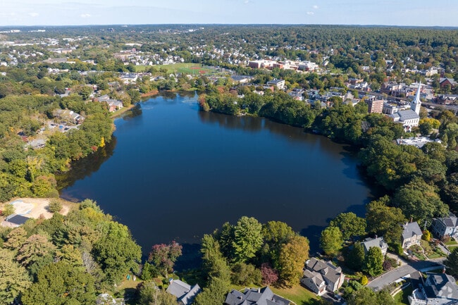 Wedge Pond is a popular attraction in Central Winchester.