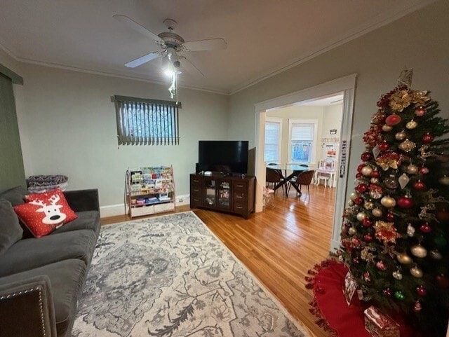 Building Photo - 26-28-28 Waverley Ave