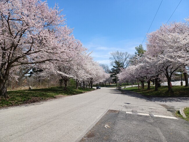Al otro lado de la calle, Fairmount Park - 1720 Memorial Ave