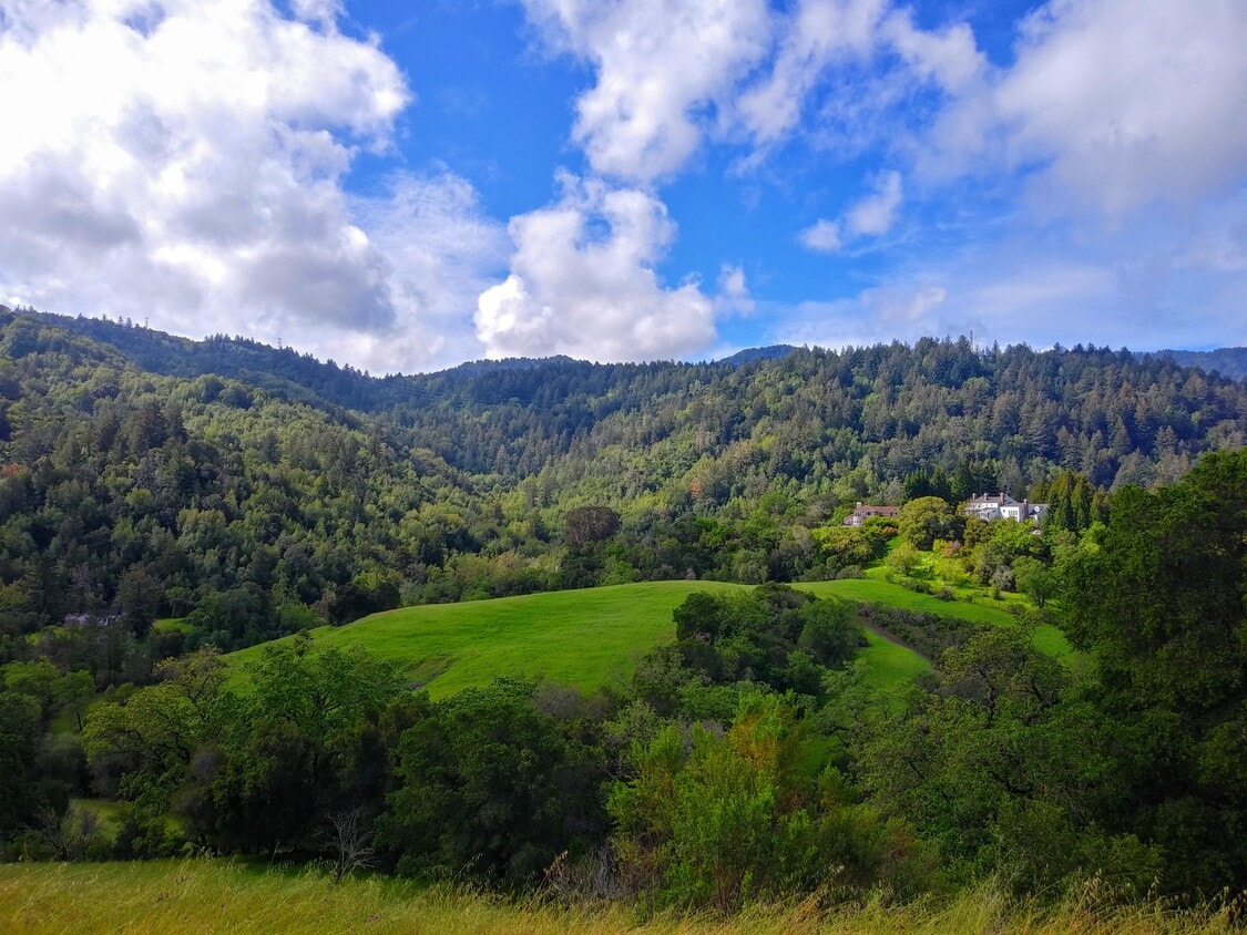 Photo - 20812 4th St (Saratoga, CA)