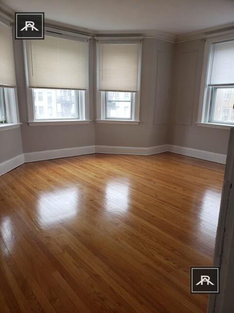 Foto del edificio - 2 bedroom in Brighton MA 02135