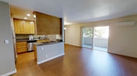 This single-floor space features an open-concept layout that seamlessly connects the kitchen and living area, creating a spacious and functional environment. The kitchen is equipped with warm honey-toned wood cabinetry, dark granite countertops, and stainless steel appliances, including a gas cooktop integrated into a peninsula that partially separates the kitchen from the living space. The peninsula provides additional prep and seating space while maintaining an open sightline throughout the unit. A full-size sink and additional cabinetry along the back wall offer ample storage and workspace. Consistent hardwood flooring in a warm medium tone runs throughout the entire space, contributing to a cohesive and inviting aesthetic. The living area is generously proportioned, bathed in natural light streaming through a large sliding glass door that leads to a private balcony. The balcony features a railing and overlooks a treed outdoor area, providing a pleasant connection to the outdoors. Neutral-toned walls complement the warm flooring and cabinetry throughout, creating a bright and welcoming atmosphere ideal for everyday living and entertaining.