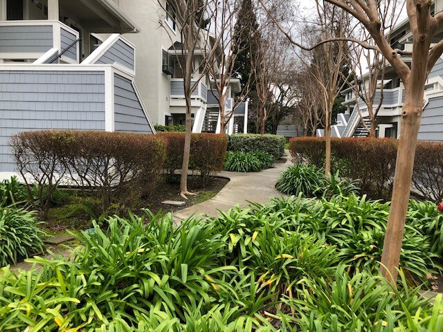ENTRANCE TO CONDO - 2594 Oak Rd