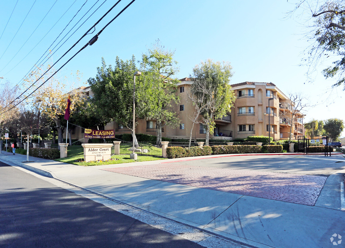 Primary Photo - Alder Court Apartments