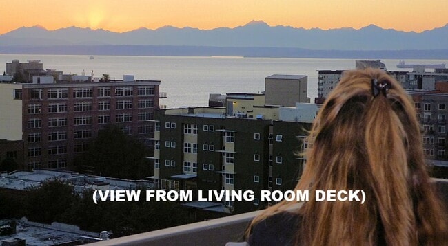 Westerly View from your very large deck - 2201 3rd Ave