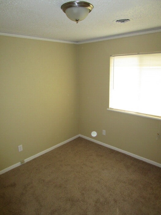 Building Photo - 1305 Milmo Dr