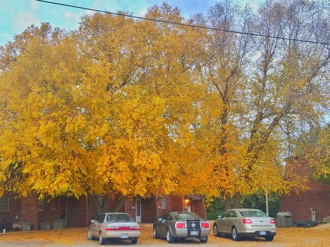Foto del edificio - 1409 E 6th St