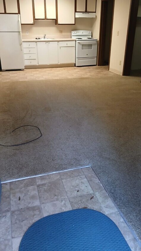 Building Photo - Move-In Special! Fully Renovated 1/1 Available for Immediate Rent!