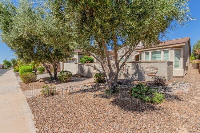 Building Photo - 4652 E Donato Dr