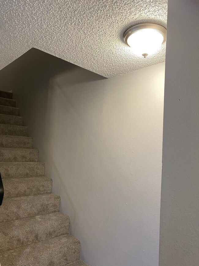 Building Photo - Fully renovated 2 bedroom, 1.5 bath apartm...