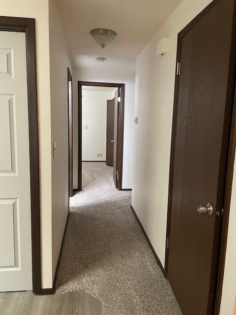 Front Hall - 2037 S Colorado Ave