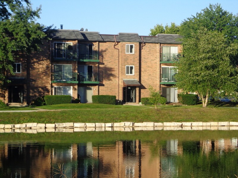 1009 Buccaneer Dr, Schaumburg, IL 60173 Condo for Rent in Schaumburg
